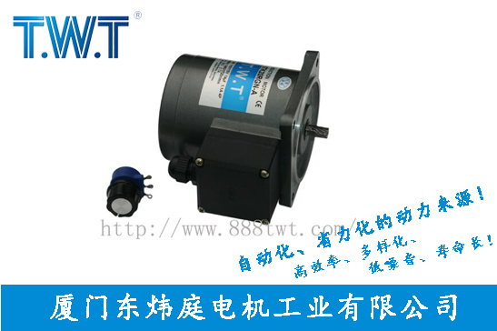 TWT-東煒庭轉(zhuǎn)矩電機
